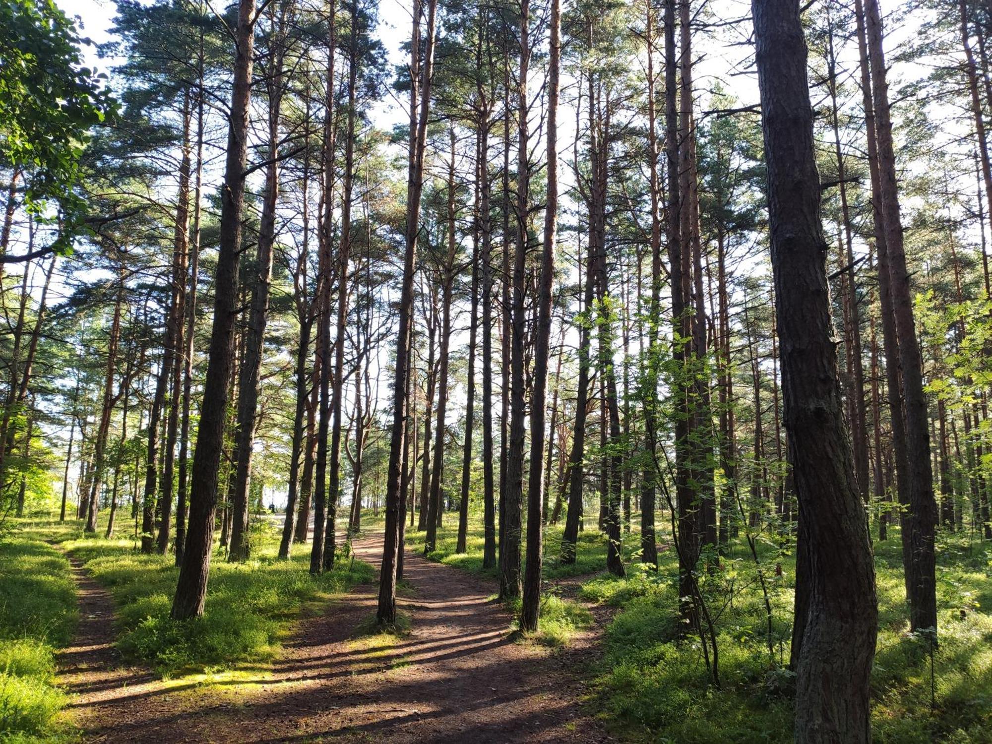 Flip-Flops Apartment Jurmala With Free Parking ภายนอก รูปภาพ