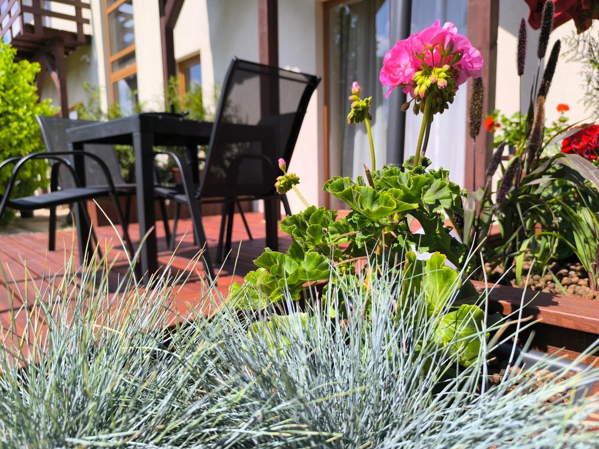 Flip-Flops Apartment Jurmala With Free Parking ภายนอก รูปภาพ