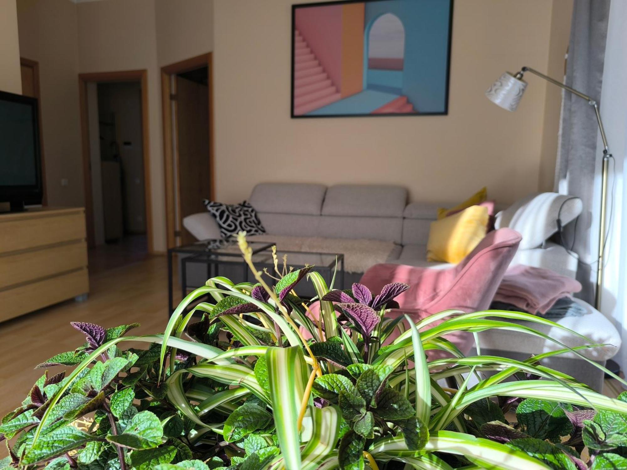 Flip-Flops Apartment Jurmala With Free Parking ภายนอก รูปภาพ