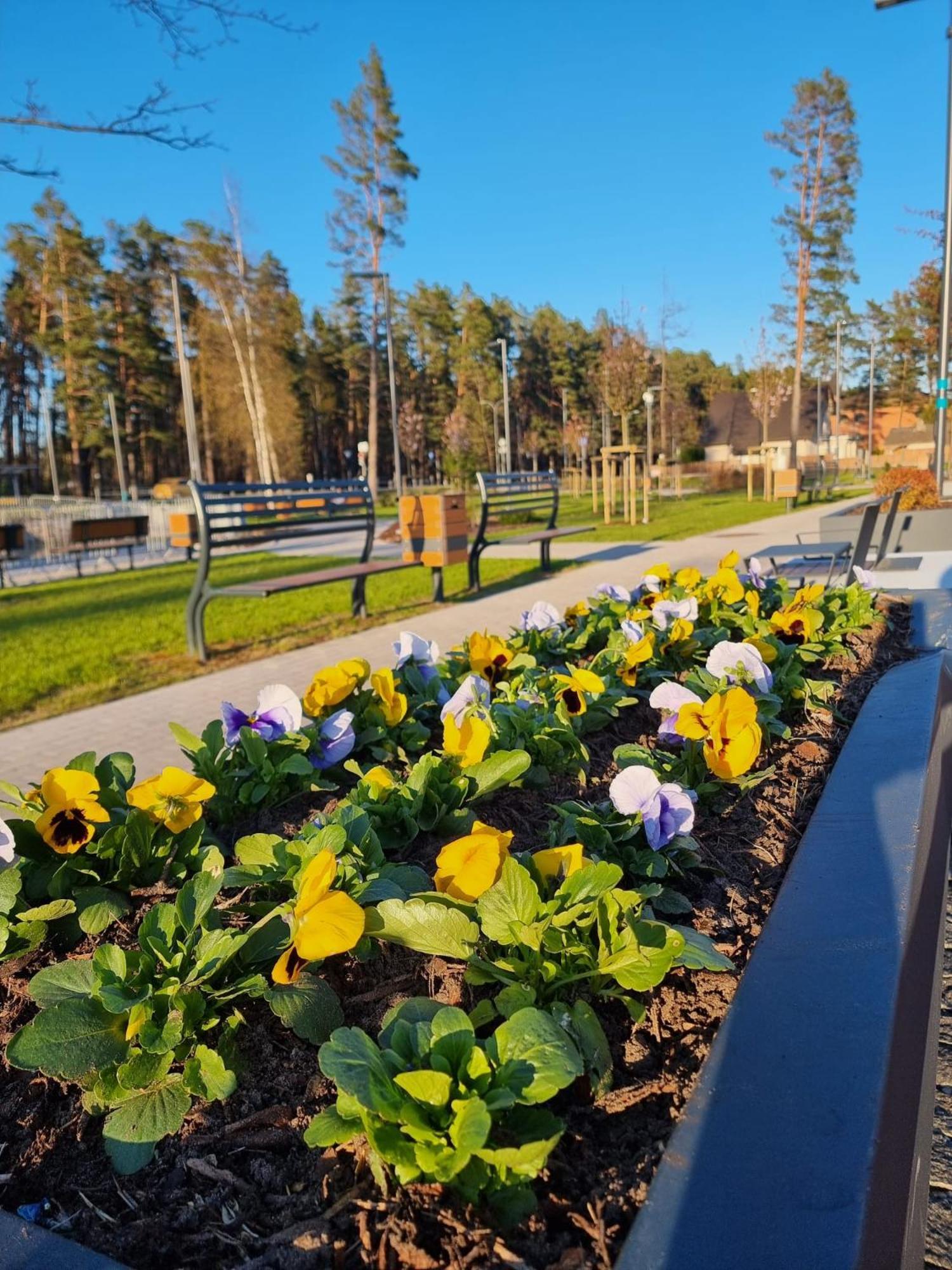 Flip-Flops Apartment Jurmala With Free Parking ภายนอก รูปภาพ